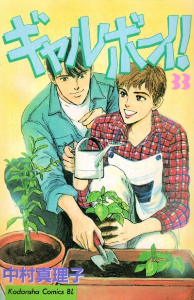 中村真理子の、漫画、ギャルボーイの最終巻です。