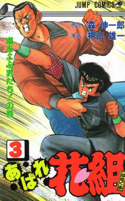 あばれ花組、コミック本3巻です。漫画家は、押山雄一です。