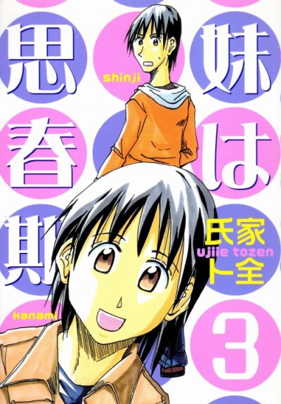 妹は思春期、コミック本3巻です。漫画家は、氏家卜全です。