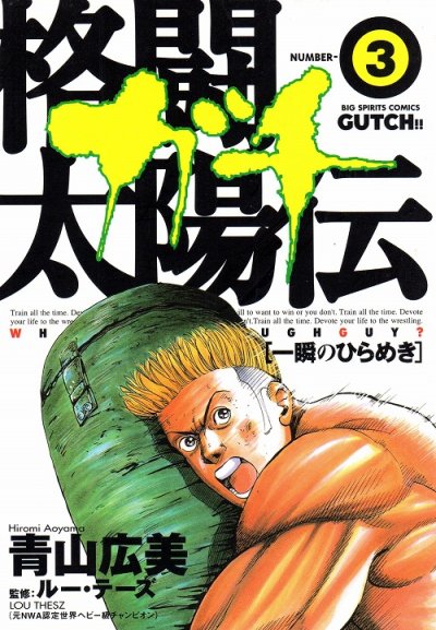 格闘太陽伝ガチ、コミック本3巻です。漫画家は、青山広美です。