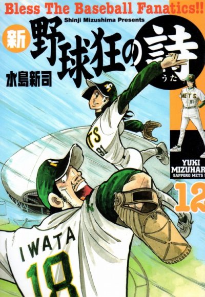 水島新司の、漫画、新野球狂の詩の最終巻です。