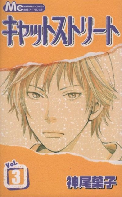 キャットストリート、コミック本3巻です。漫画家は、神尾葉子です。