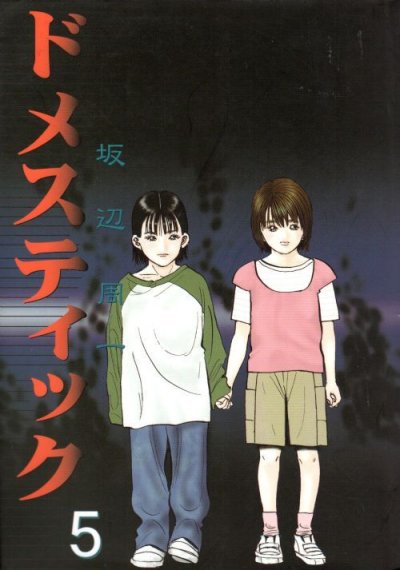 坂辺周一の、漫画、ドメスティックの最終巻です。