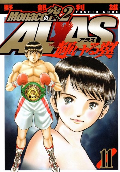 野部利雄の、漫画、モナコの空へ２アラス-輝ける翼-の最終巻です。