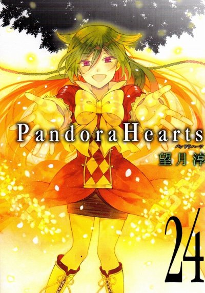望月淳の、漫画、パンドラハーツの最終巻です。