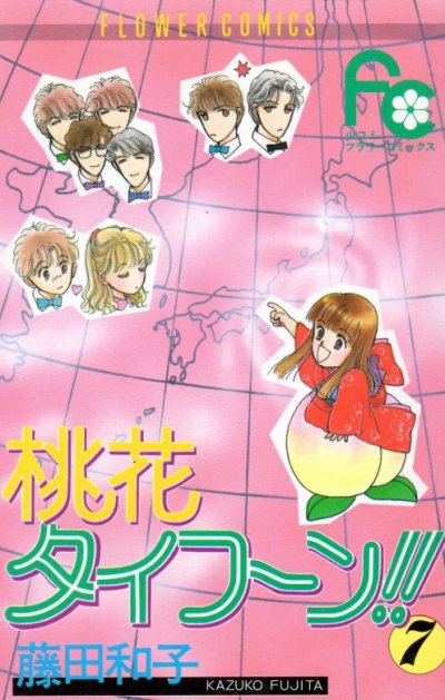 藤田和子の、漫画、桃花タイフーンの最終巻です。