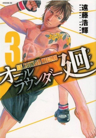 オールラウンダー廻、コミック本3巻です。漫画家は、遠藤浩輝です。