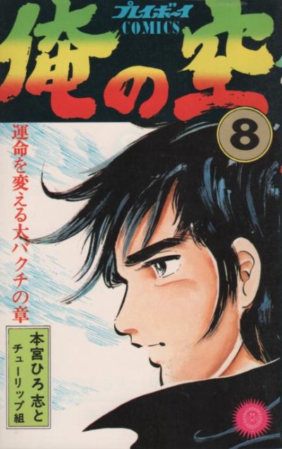 本宮ひろ志の、漫画、俺の空の表紙画像です。