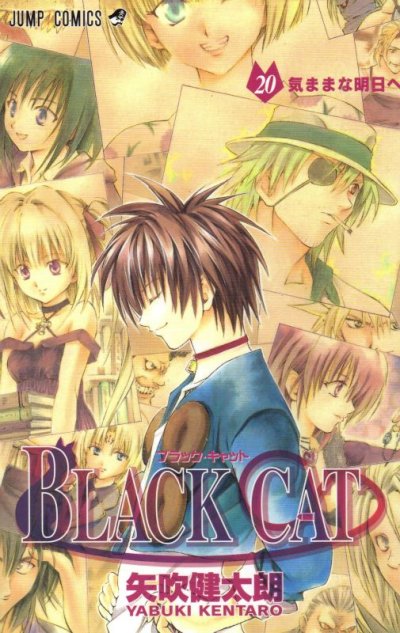 矢吹健太朗の、漫画、ブラックキャットの最終巻です。