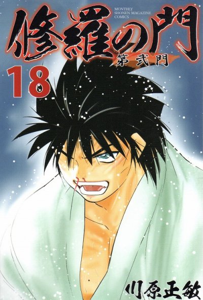 川原正敏の、漫画、修羅の門第弐門の最終巻です。