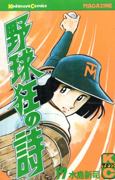 水島新司の、漫画、野球狂の詩の最終巻です。