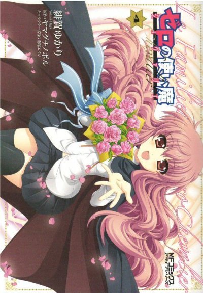 緋賀ゆかりの、漫画、ゼロの使い魔シュヴァリエの表紙画像です。