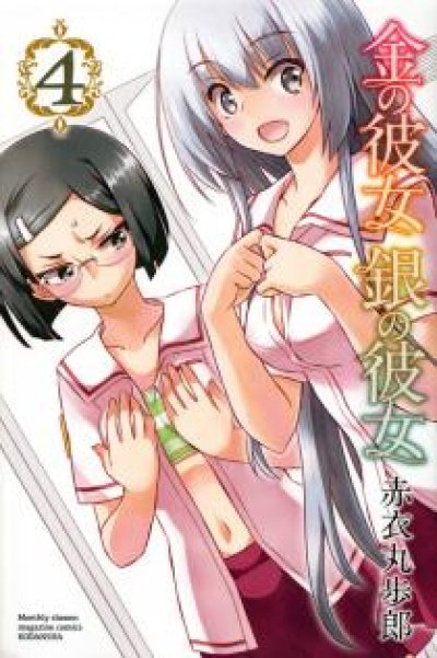 人気マンガ、金の彼女銀の彼女、漫画本の4巻です。作者は、赤衣丸歩郎です。