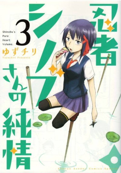 人気コミック、忍者シノブさんの純情、単行本の3巻です。漫画家は、ゆずチリです。