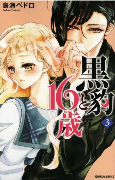 画像3: 黒豹と16歳 鳥海ペドロ