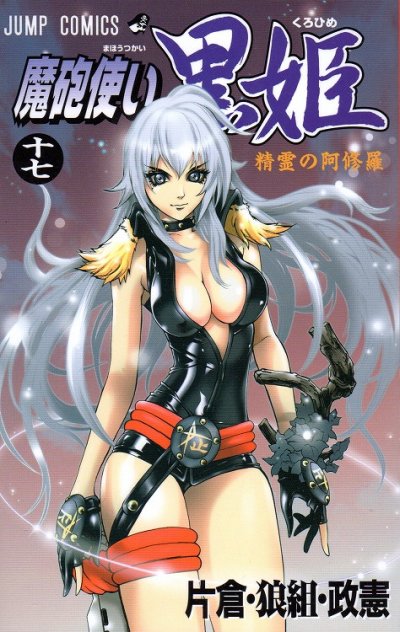 片倉・狼組・政憲の、漫画、魔砲使い黒姫の表紙画像です。