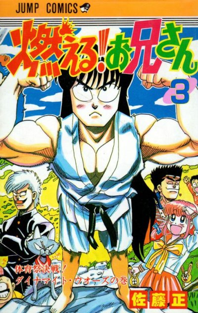燃えるお兄さん、コミック本3巻です。漫画家は、佐藤正です。
