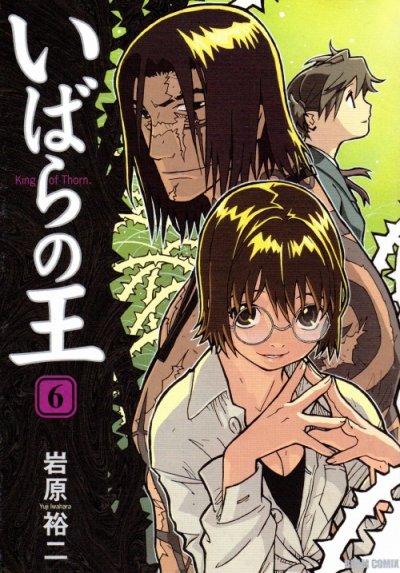 岩原裕二の、漫画、いばらの王の最終巻です。