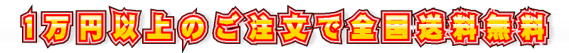 1万円以上のご注文で漫画全巻送料無料