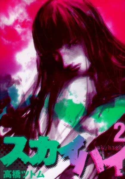 スカイハイ、単行本2巻です。マンガの作者は、高橋ツトムです。