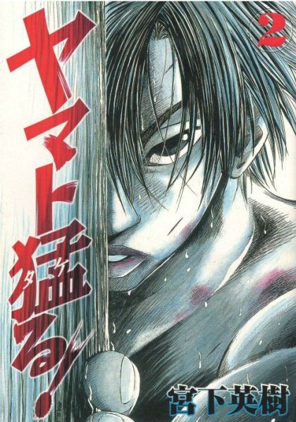 ヤマト猛る、単行本2巻です。マンガの作者は、宮下英樹です。