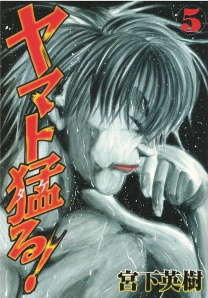 宮下英樹の、漫画、ヤマト猛るの表紙画像です。