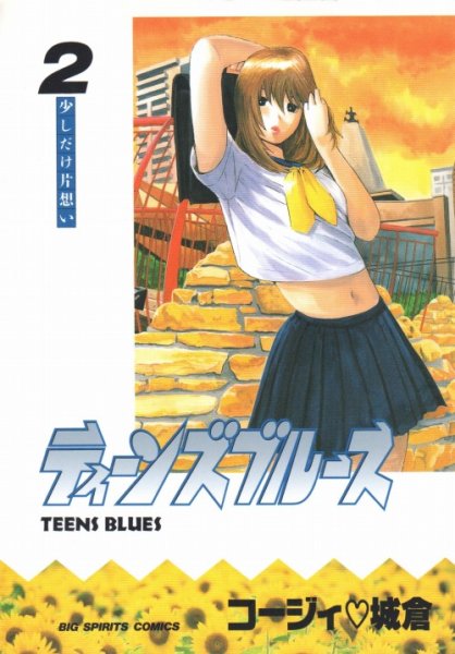 ティーンズブルース、単行本2巻です。マンガの作者は、コージィ城倉です。