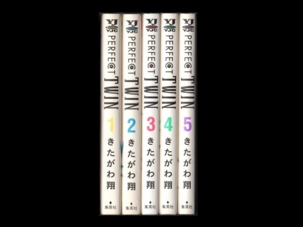 パーフェクトツイン、漫画本を全巻コミックセットで販売しています。