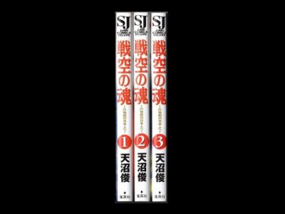 画像1: 戦空の魂 21世紀の日本人へ 天沼俊