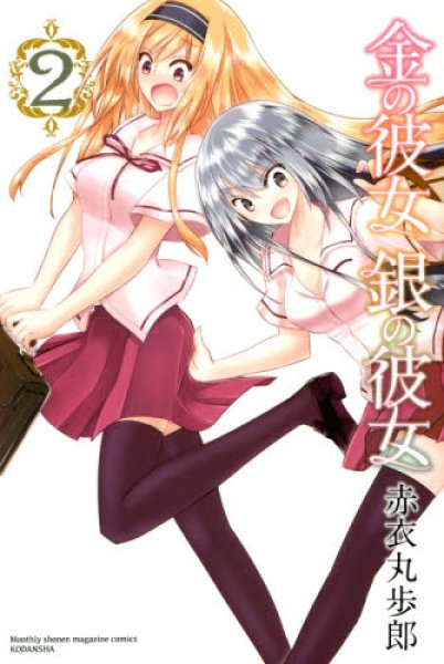 金の彼女銀の彼女、コミックの2巻です。漫画の作者は、赤衣丸歩郎です。